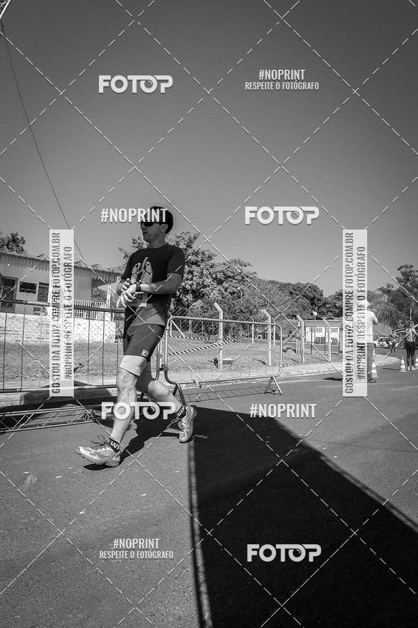 Buy your photos of the eventWolf Series - Botucatu on Fotop