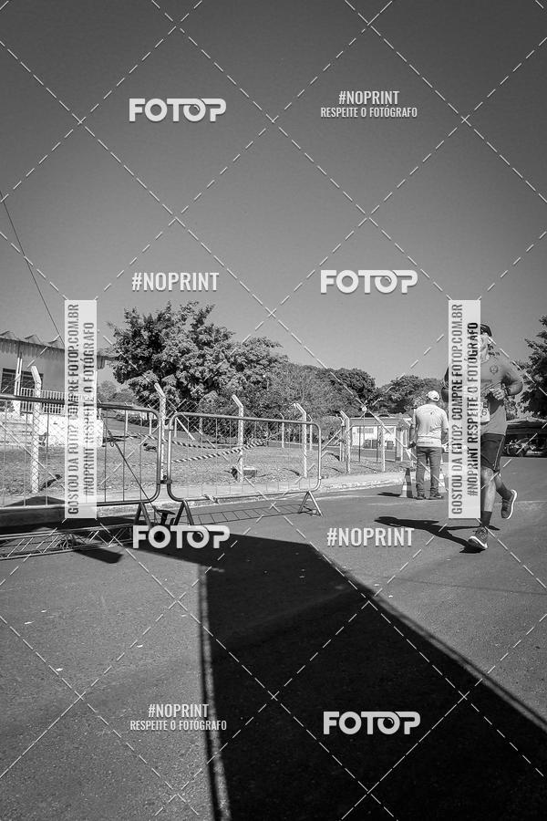 Buy your photos of the eventWolf Series - Botucatu on Fotop