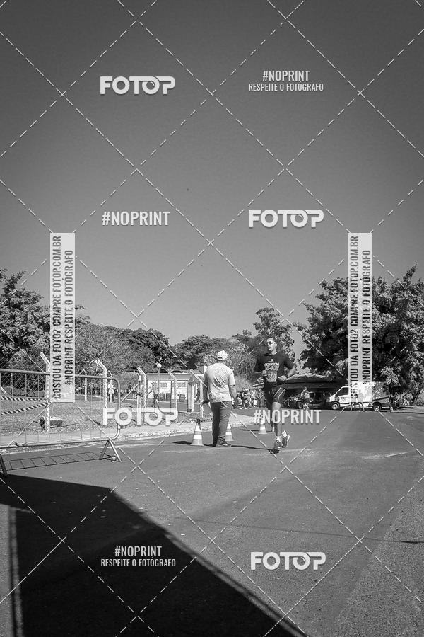 Buy your photos of the eventWolf Series - Botucatu on Fotop