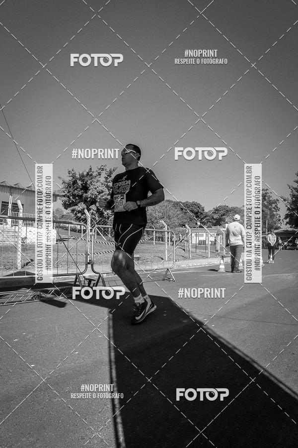 Buy your photos of the eventWolf Series - Botucatu on Fotop