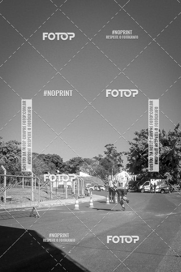 Buy your photos of the eventWolf Series - Botucatu on Fotop