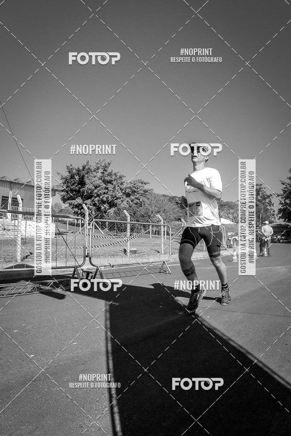 Buy your photos of the eventWolf Series - Botucatu on Fotop