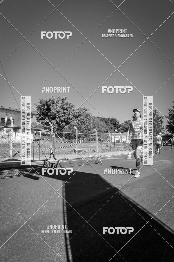 Buy your photos of the eventWolf Series - Botucatu on Fotop