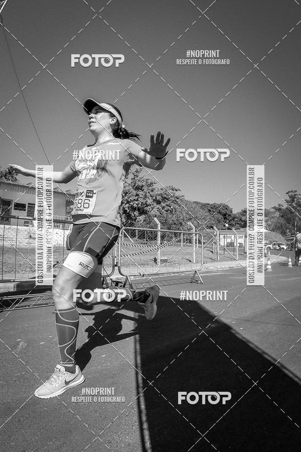 Buy your photos of the eventWolf Series - Botucatu on Fotop