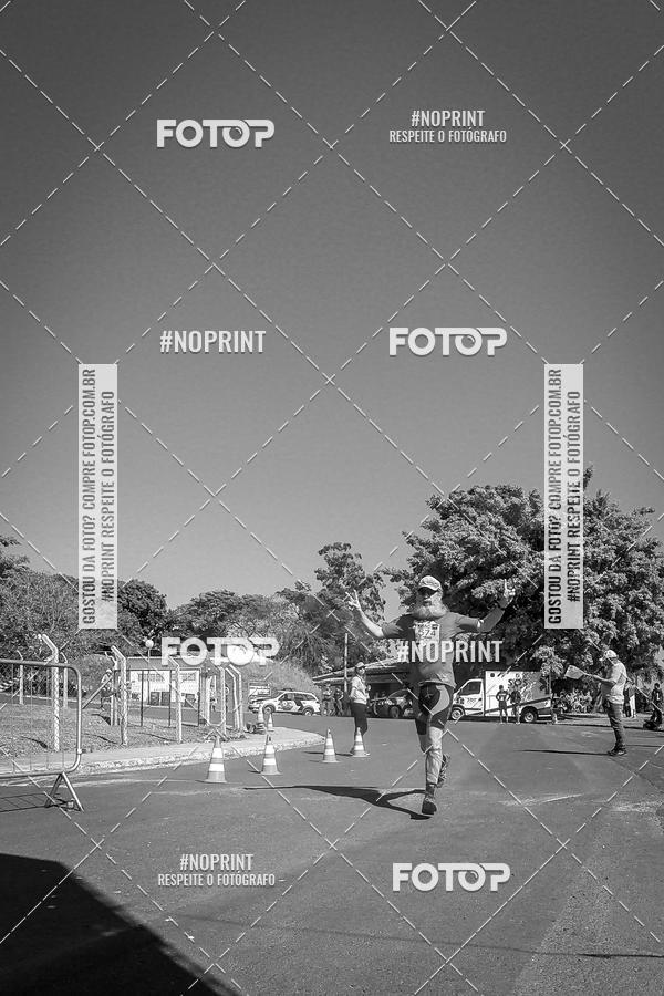 Buy your photos of the eventWolf Series - Botucatu on Fotop