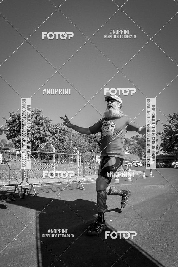 Buy your photos of the eventWolf Series - Botucatu on Fotop