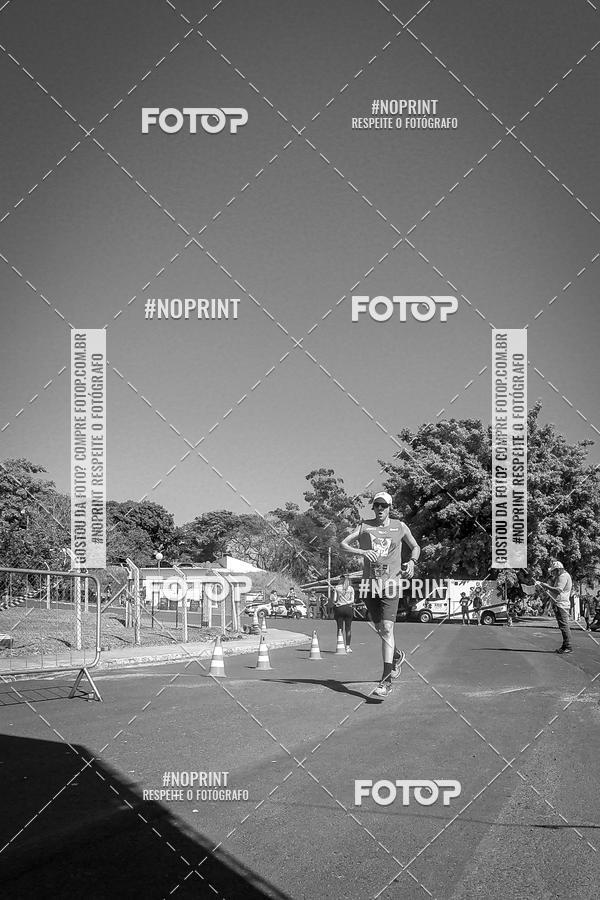 Buy your photos of the eventWolf Series - Botucatu on Fotop