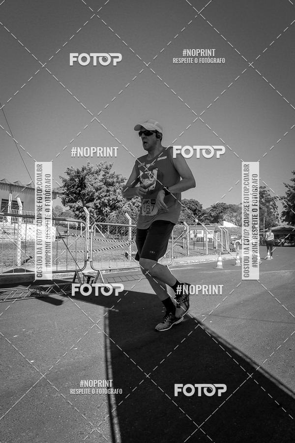 Buy your photos of the eventWolf Series - Botucatu on Fotop