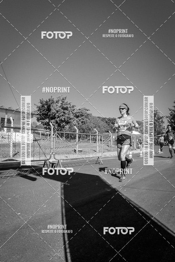 Buy your photos of the eventWolf Series - Botucatu on Fotop