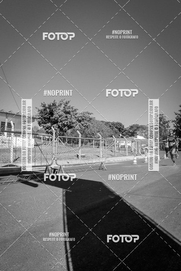 Buy your photos of the eventWolf Series - Botucatu on Fotop