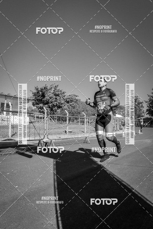 Buy your photos of the eventWolf Series - Botucatu on Fotop