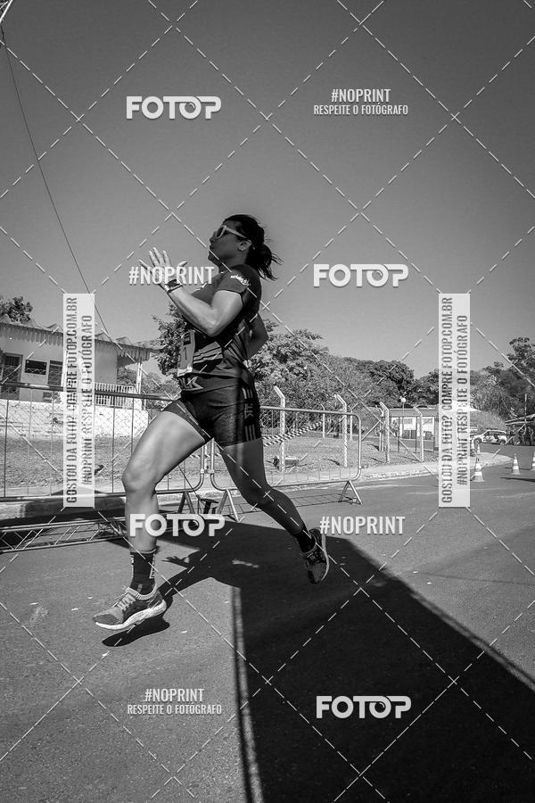 Buy your photos of the eventWolf Series - Botucatu on Fotop