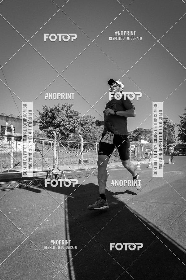 Buy your photos of the eventWolf Series - Botucatu on Fotop