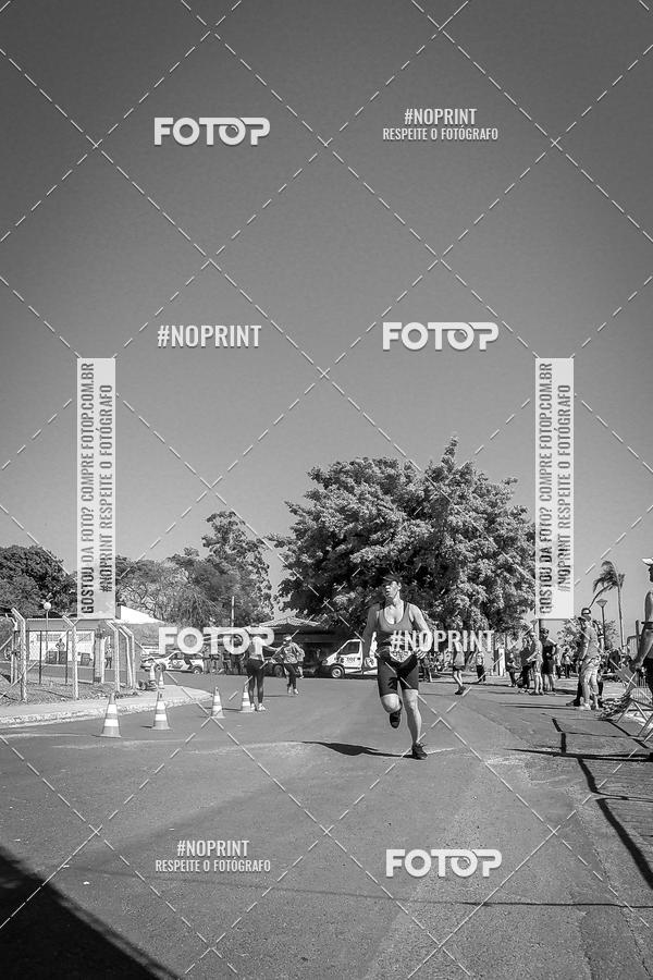 Buy your photos of the eventWolf Series - Botucatu on Fotop