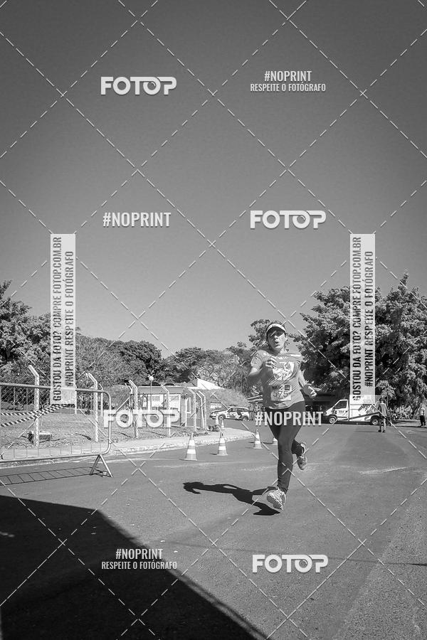 Buy your photos of the eventWolf Series - Botucatu on Fotop