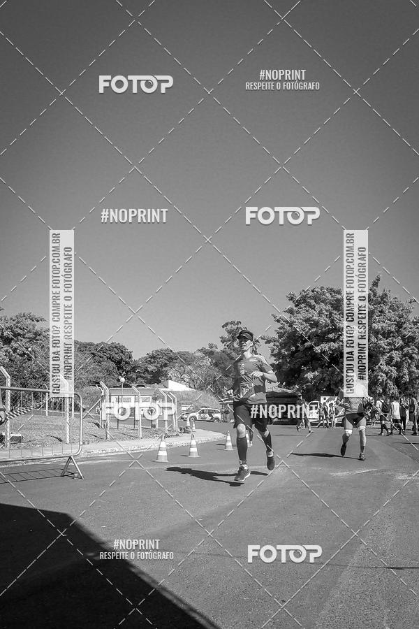 Buy your photos of the eventWolf Series - Botucatu on Fotop