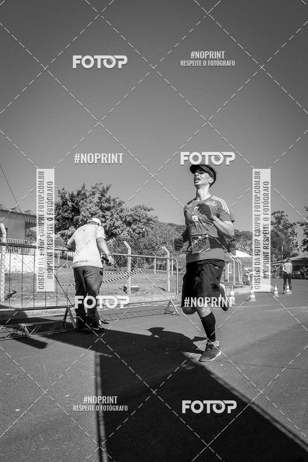 Buy your photos of the eventWolf Series - Botucatu on Fotop