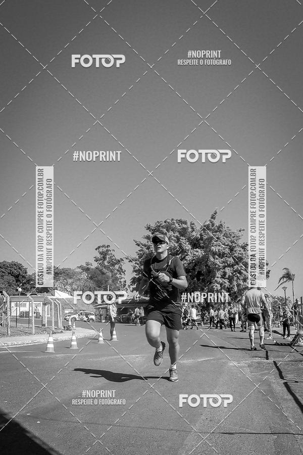 Buy your photos of the eventWolf Series - Botucatu on Fotop