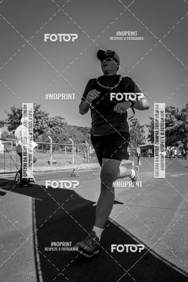 Buy your photos of the eventWolf Series - Botucatu on Fotop