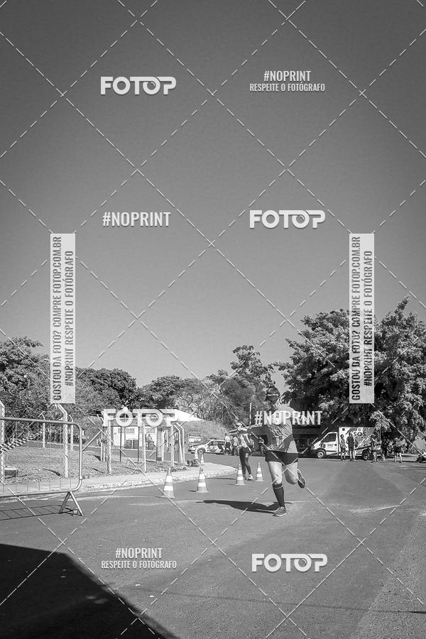Buy your photos of the eventWolf Series - Botucatu on Fotop