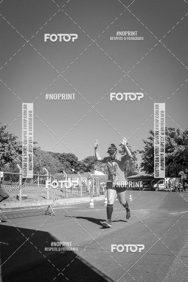 Buy your photos of the eventWolf Series - Botucatu on Fotop