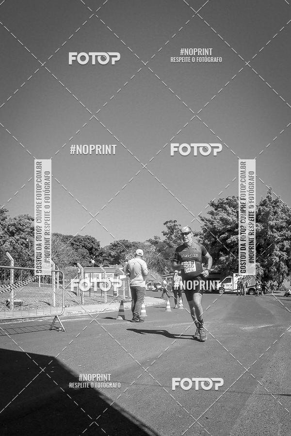 Buy your photos of the eventWolf Series - Botucatu on Fotop