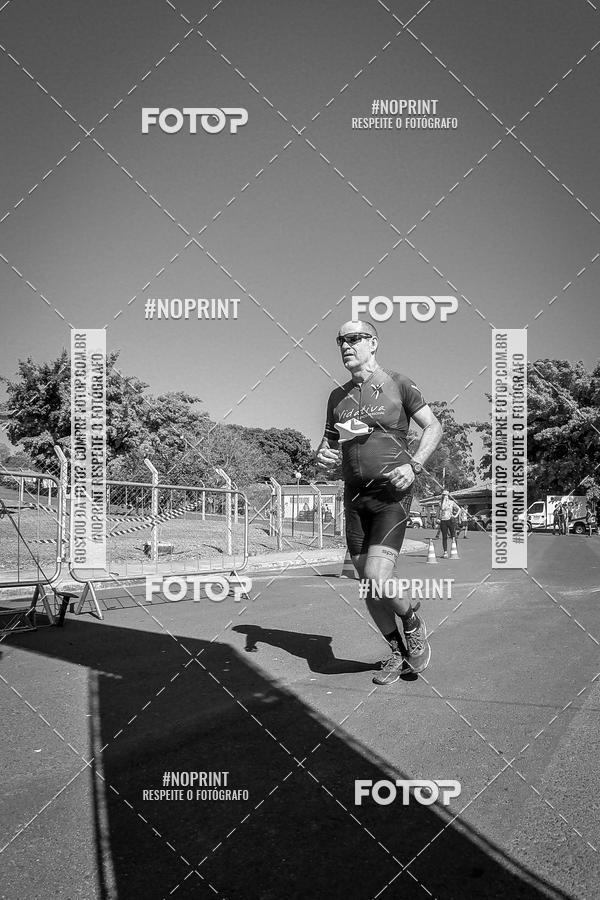 Buy your photos of the eventWolf Series - Botucatu on Fotop