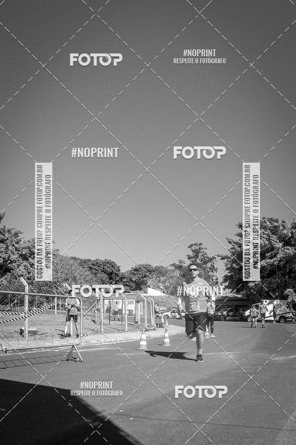 Buy your photos of the eventWolf Series - Botucatu on Fotop