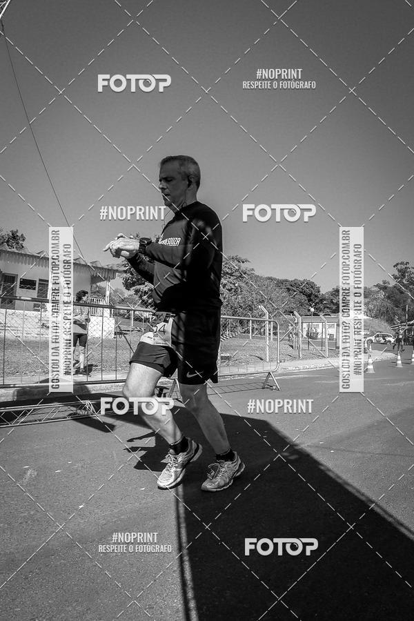 Buy your photos of the eventWolf Series - Botucatu on Fotop