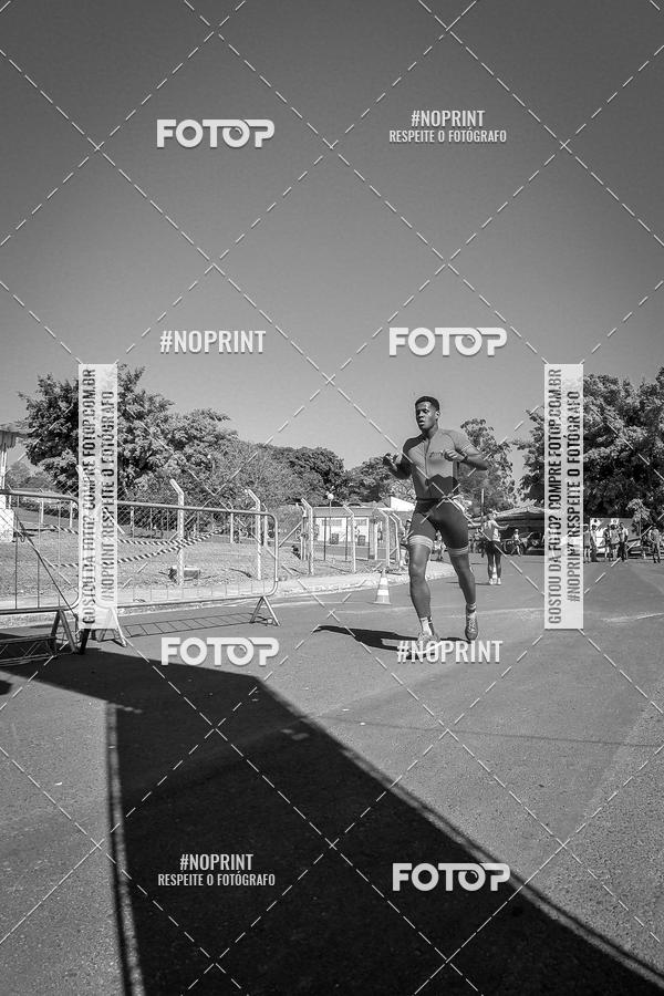 Buy your photos of the eventWolf Series - Botucatu on Fotop