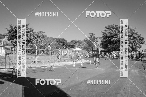 Buy your photos of the eventWolf Series - Botucatu on Fotop