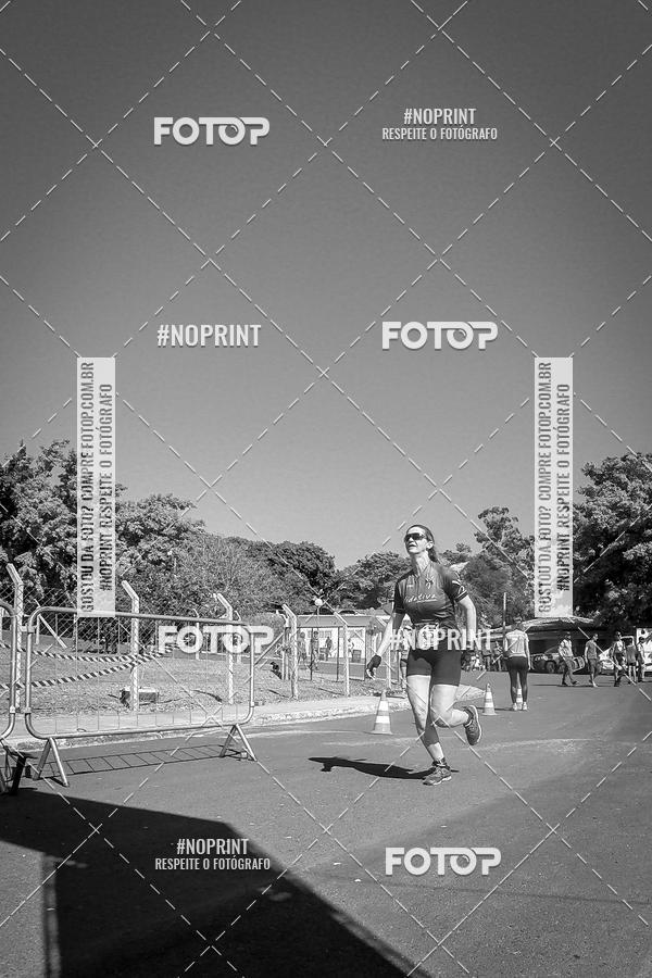 Buy your photos of the eventWolf Series - Botucatu on Fotop