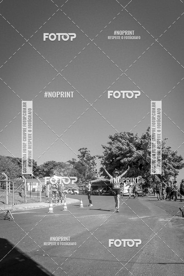 Buy your photos of the eventWolf Series - Botucatu on Fotop