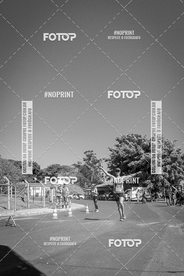 Buy your photos of the eventWolf Series - Botucatu on Fotop