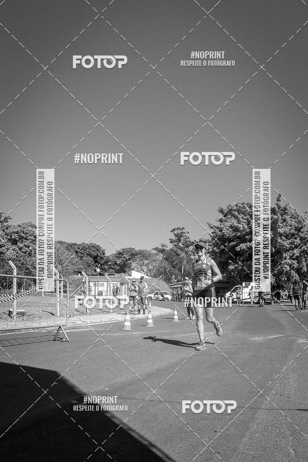 Buy your photos of the eventWolf Series - Botucatu on Fotop