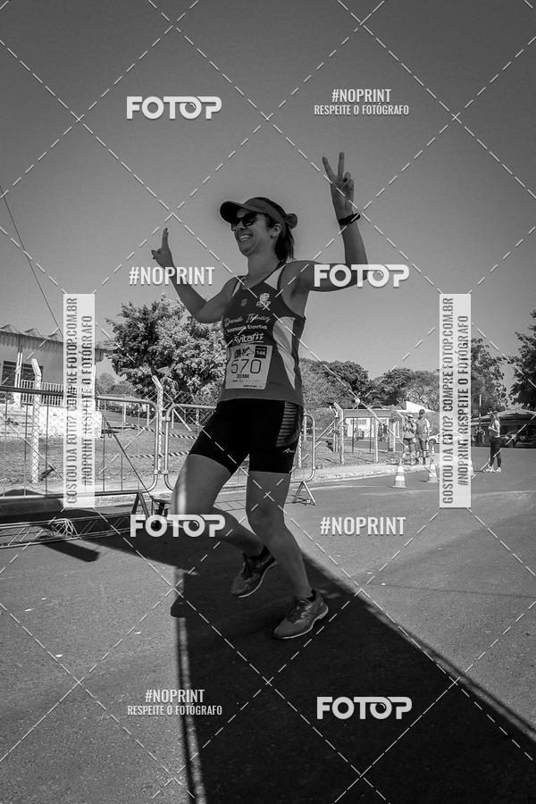 Buy your photos of the eventWolf Series - Botucatu on Fotop