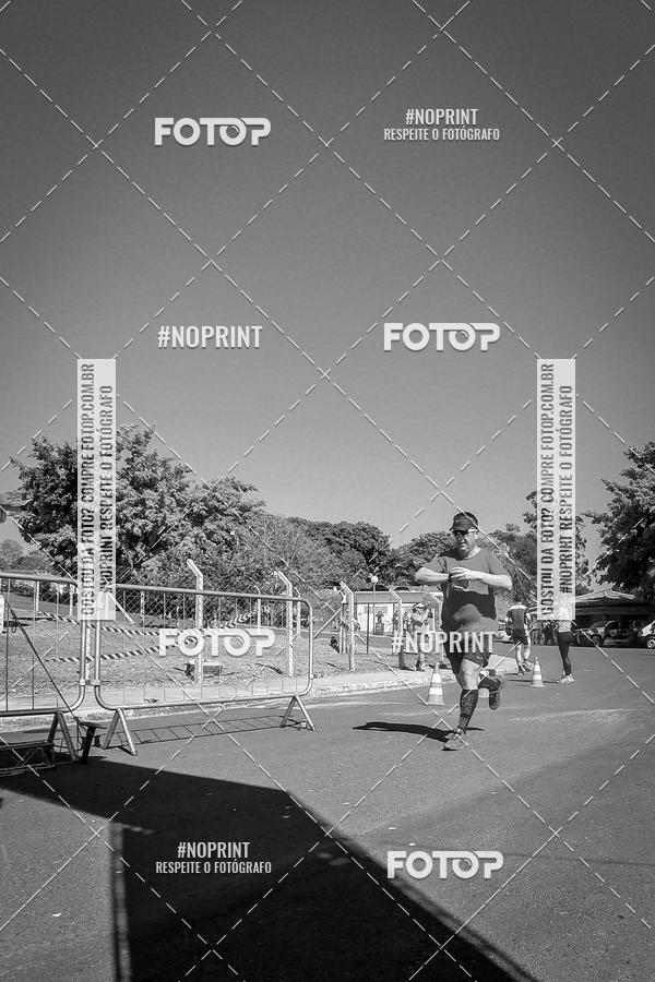 Buy your photos of the eventWolf Series - Botucatu on Fotop