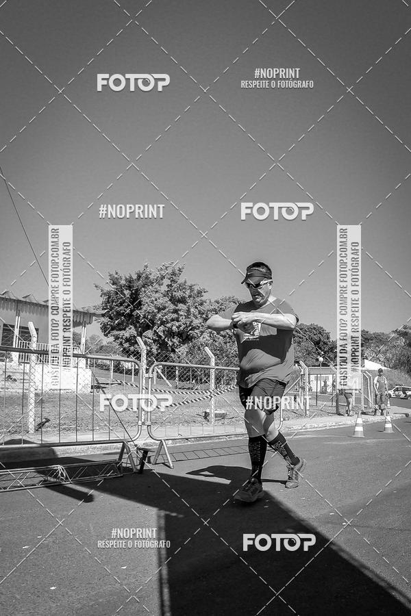 Buy your photos of the eventWolf Series - Botucatu on Fotop