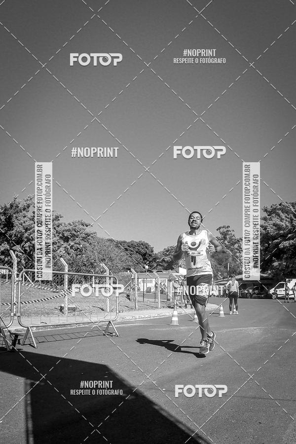 Buy your photos of the eventWolf Series - Botucatu on Fotop