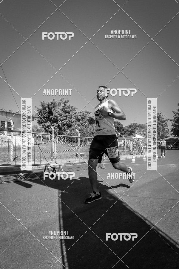 Buy your photos of the eventWolf Series - Botucatu on Fotop