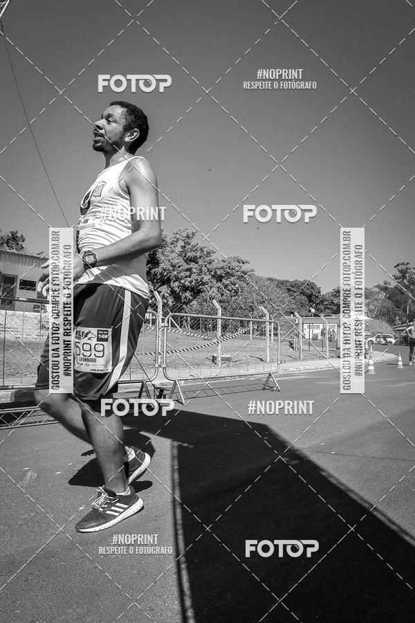 Buy your photos of the eventWolf Series - Botucatu on Fotop