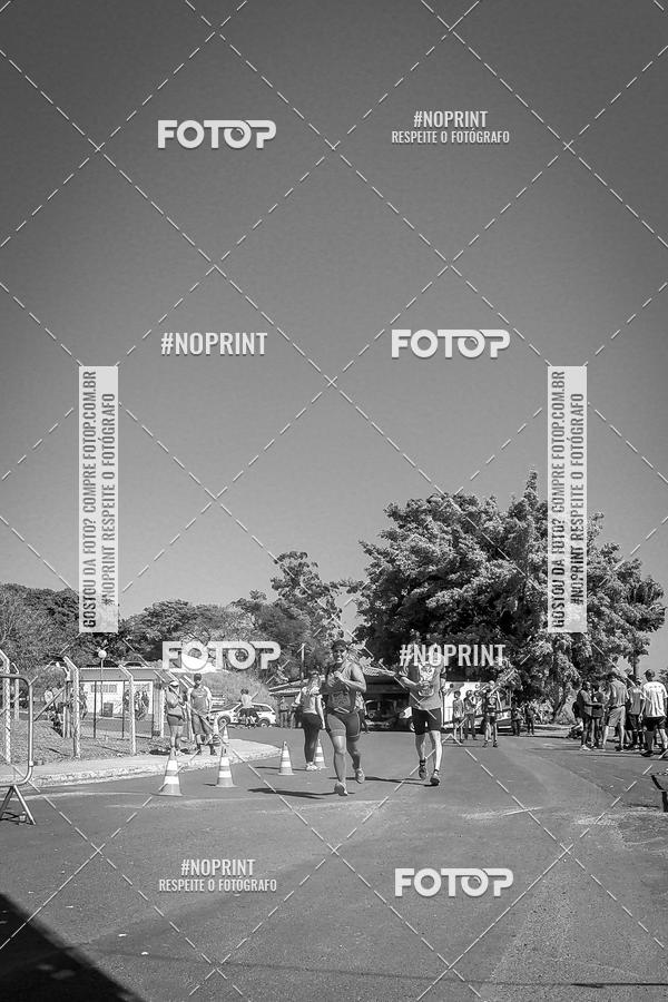 Buy your photos of the eventWolf Series - Botucatu on Fotop