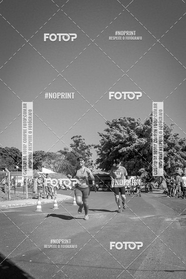 Buy your photos of the eventWolf Series - Botucatu on Fotop
