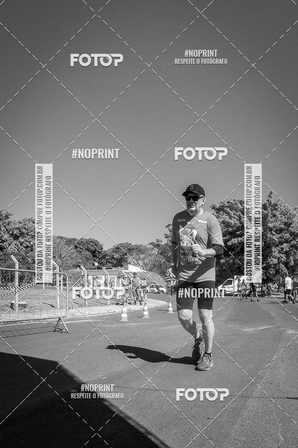 Buy your photos of the eventWolf Series - Botucatu on Fotop