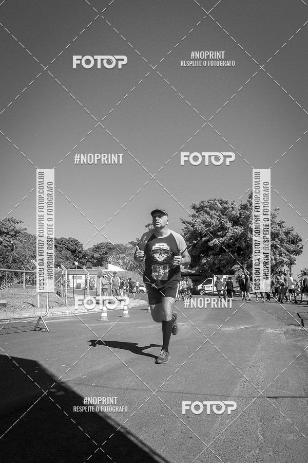 Buy your photos of the eventWolf Series - Botucatu on Fotop