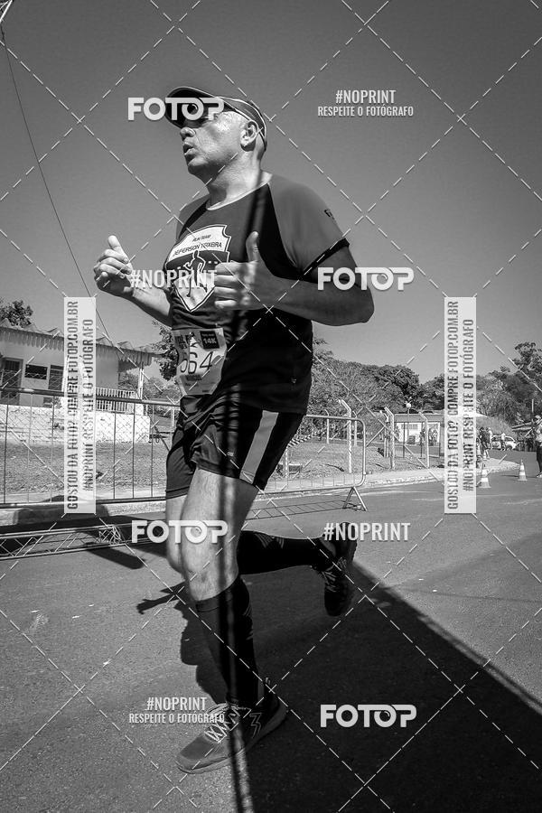 Buy your photos of the eventWolf Series - Botucatu on Fotop