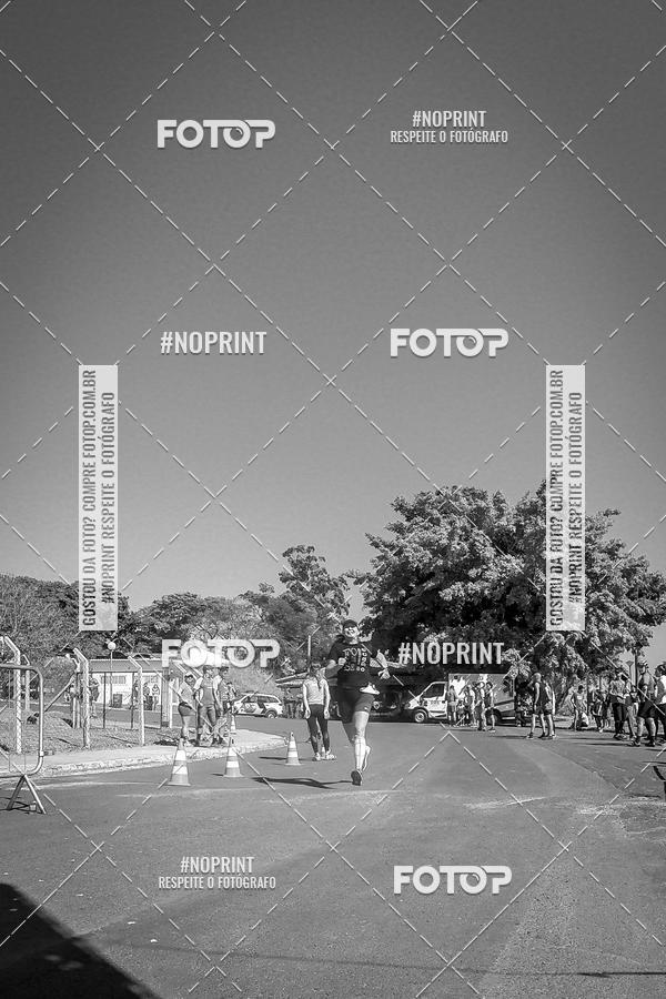 Buy your photos of the eventWolf Series - Botucatu on Fotop