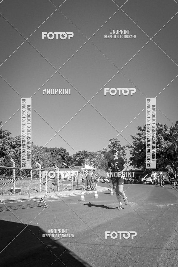 Buy your photos of the eventWolf Series - Botucatu on Fotop