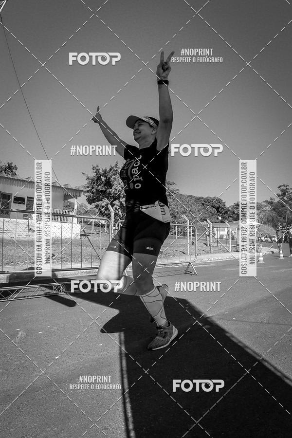 Buy your photos of the eventWolf Series - Botucatu on Fotop