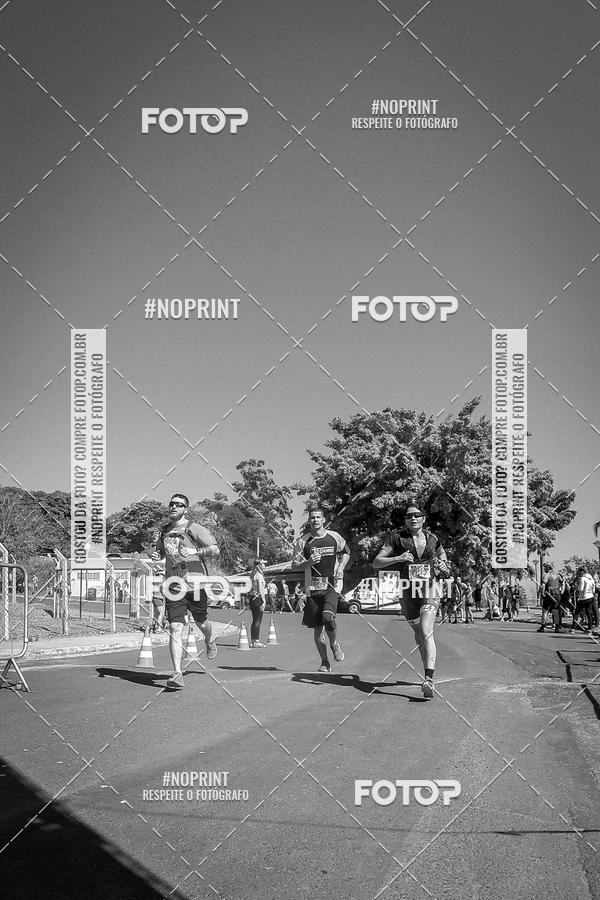 Buy your photos of the eventWolf Series - Botucatu on Fotop